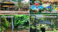 Wisata-Puncak-Bogor-1.jpg