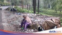 ratusan-lapak-pkl-di-puncak-bogor-yang-dibongkar-satpol-pp-kini-telah-rata-dengan-tanah-4_169.jpeg