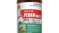 271022113622565_PERAN.jpg