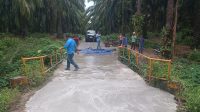 IMG-20251011-WA0008