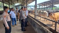 Kapolres-Lampura-AKBP-Kurniawan-Ismail-dan-Plt-Kadis-Peternakan.jpg