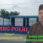 IMG-20260208-WA0001