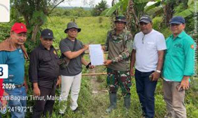cetak sawah sbt